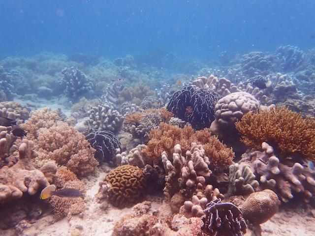Nomad Divers Bangka Likupang Exterior foto